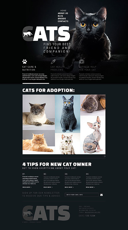 Sablon de | Animale | ID: 1066