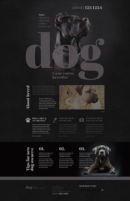 Sablon de | Animale | ID: 1189