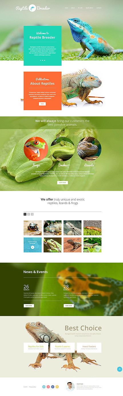 Sablon de | Animale | ID: 2089