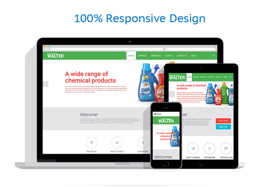 Sablon responsive de | Servicii Mentenanta
 | ID: 2233