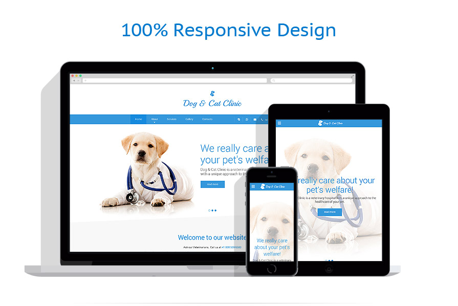  responsive template | Animals & Pets
 | ID: 2620