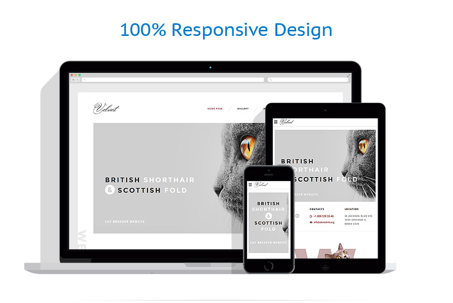 Sablon responsive de | Animale | ID: 3043