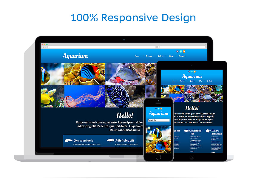 Sablon responsive de | Animale | ID: 959